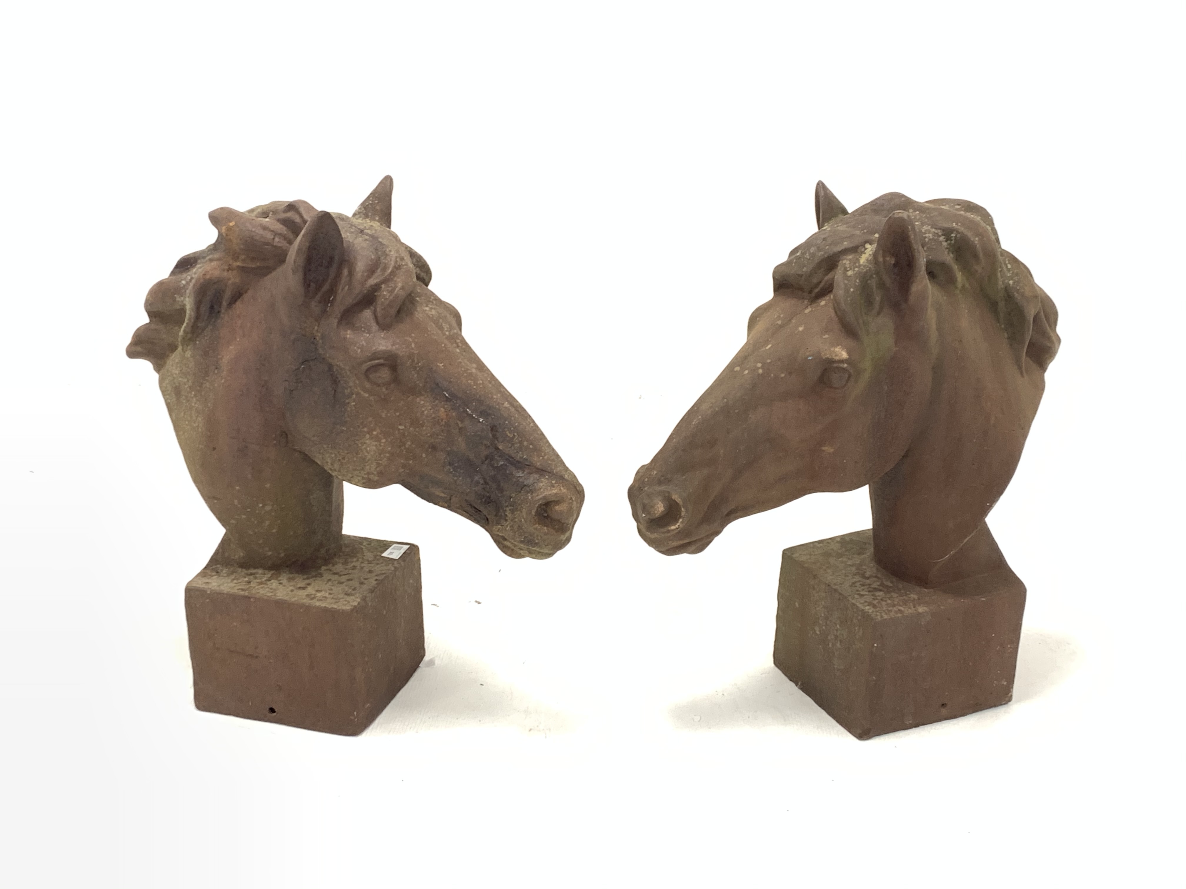 Pair of cast iron horse heads, on square bases, H63cm