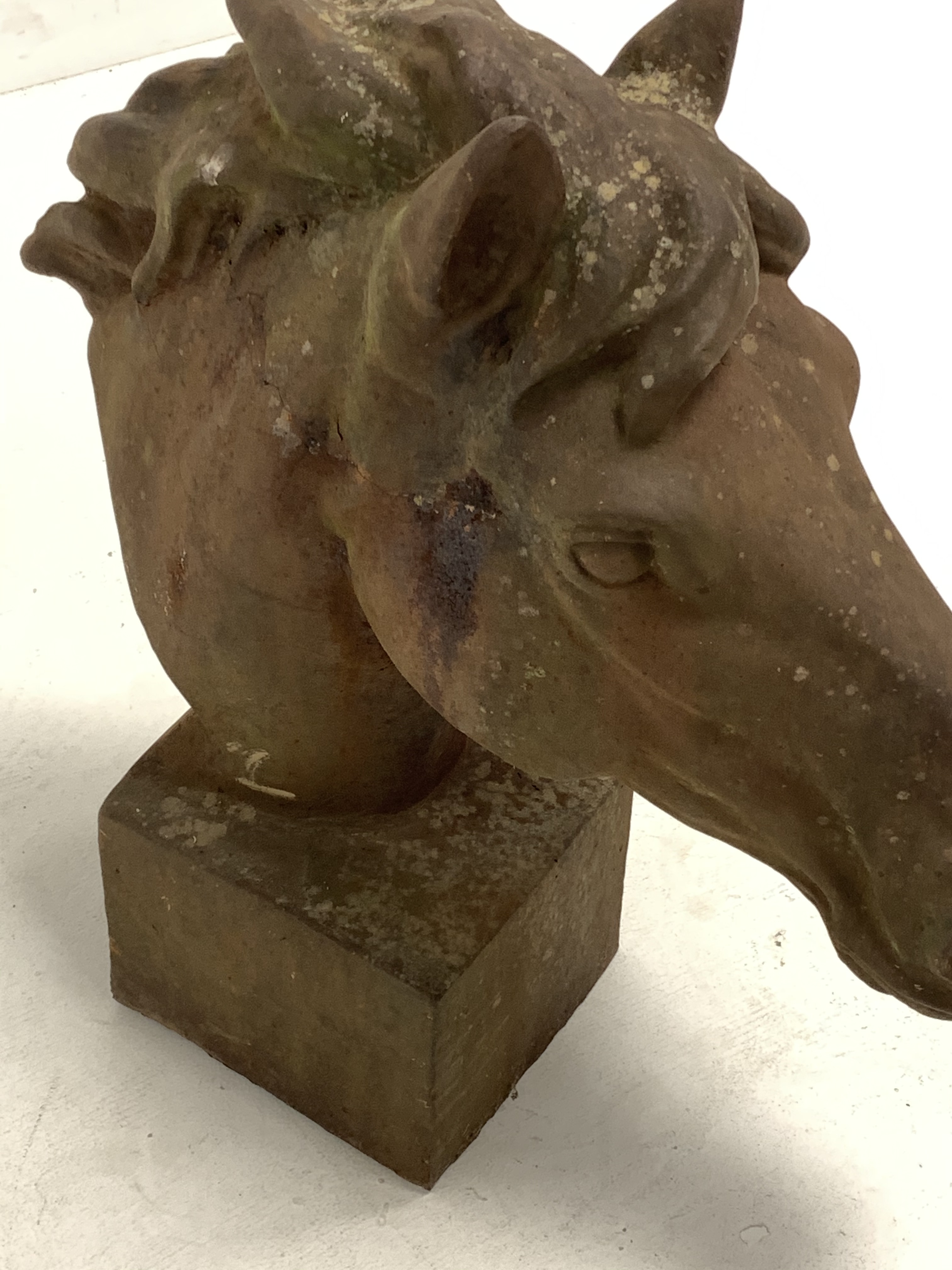 Pair of cast iron horse heads, on square bases, H63cm - Image 4 of 4