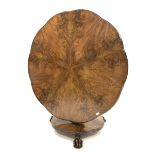 Early Victorian mahogany tilt top breakfast table, shaped chamfered top with segmented starburst fig