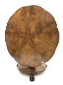 Early Victorian mahogany tilt top breakfast table, shaped chamfered top with segmented starburst fig