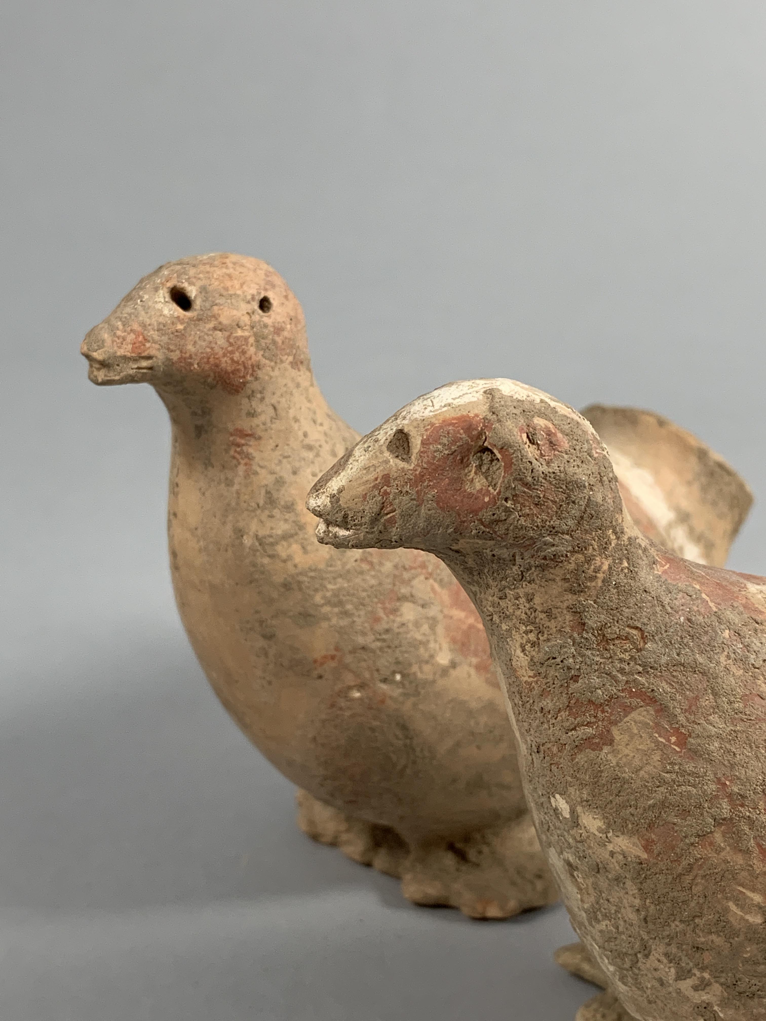 A Pair Of Pottery Birds, Qijia Culture (2050-1700 Bc) - Image 12 of 12