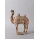 A Painted Pottery Camel, Tang Dynasty