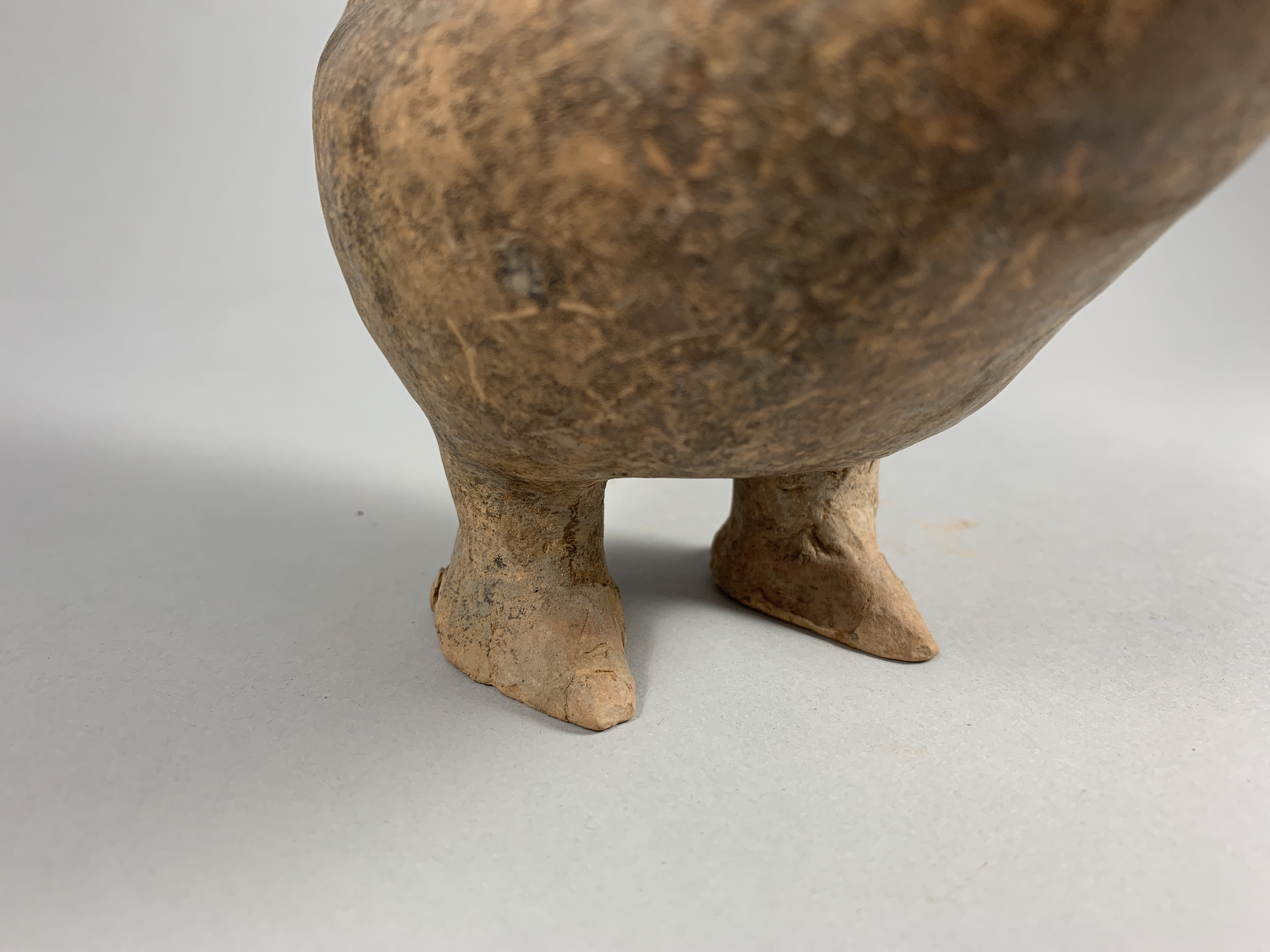 A Small Headed Bird, Qijia Culture (2050-1700 Bc) - Image 11 of 11