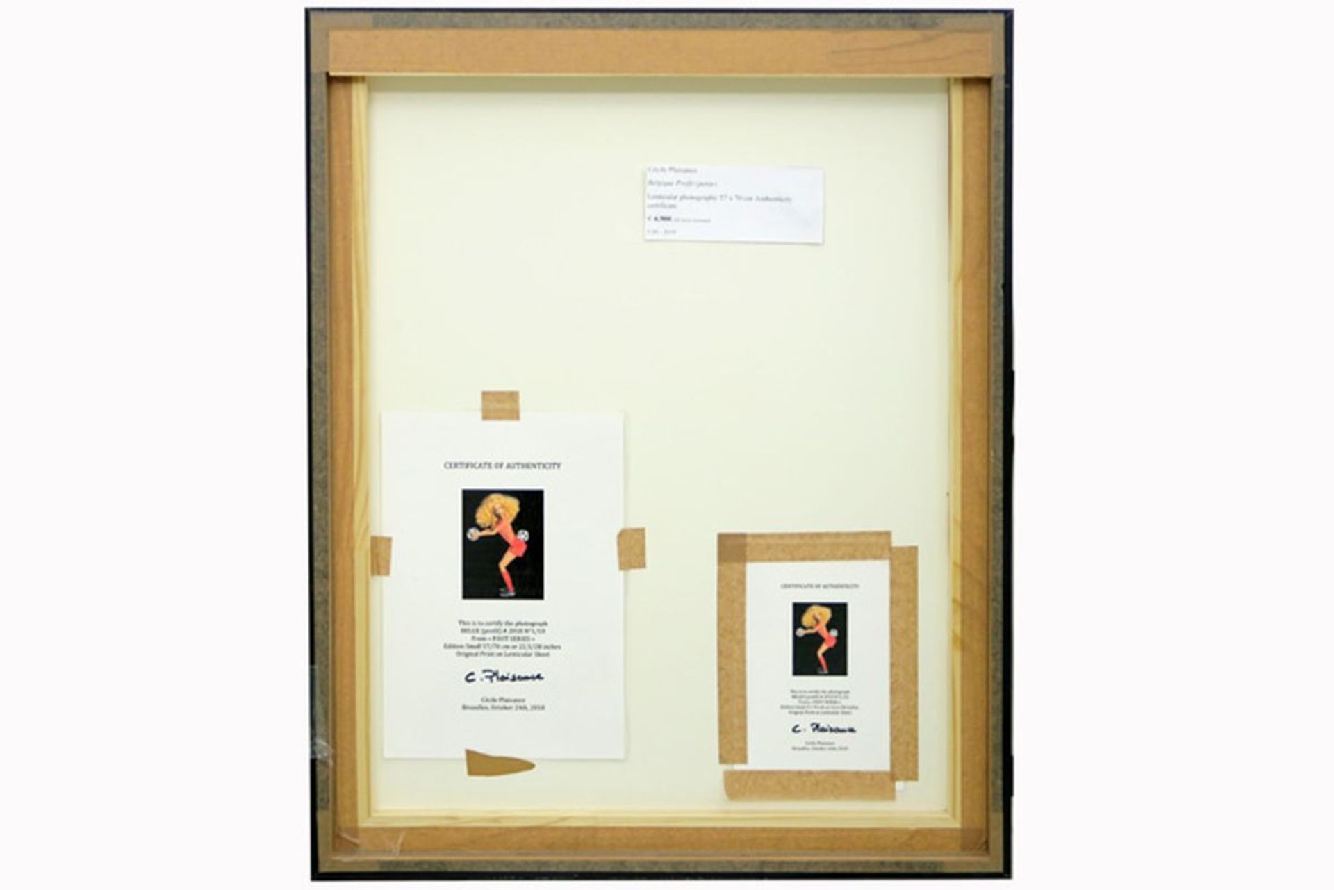 PLAISANCE CÉCILE (° 1968) (FR) "lenticular photography" print dd 2018 met typische [...] - Bild 3 aus 3
