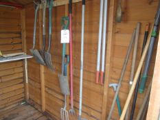 Assorted garden tools including rakes, forks, spades, brushes, loppers, shears, tree pruners etc.