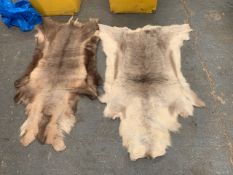 Five genuine Norwegian Reindeer Hides