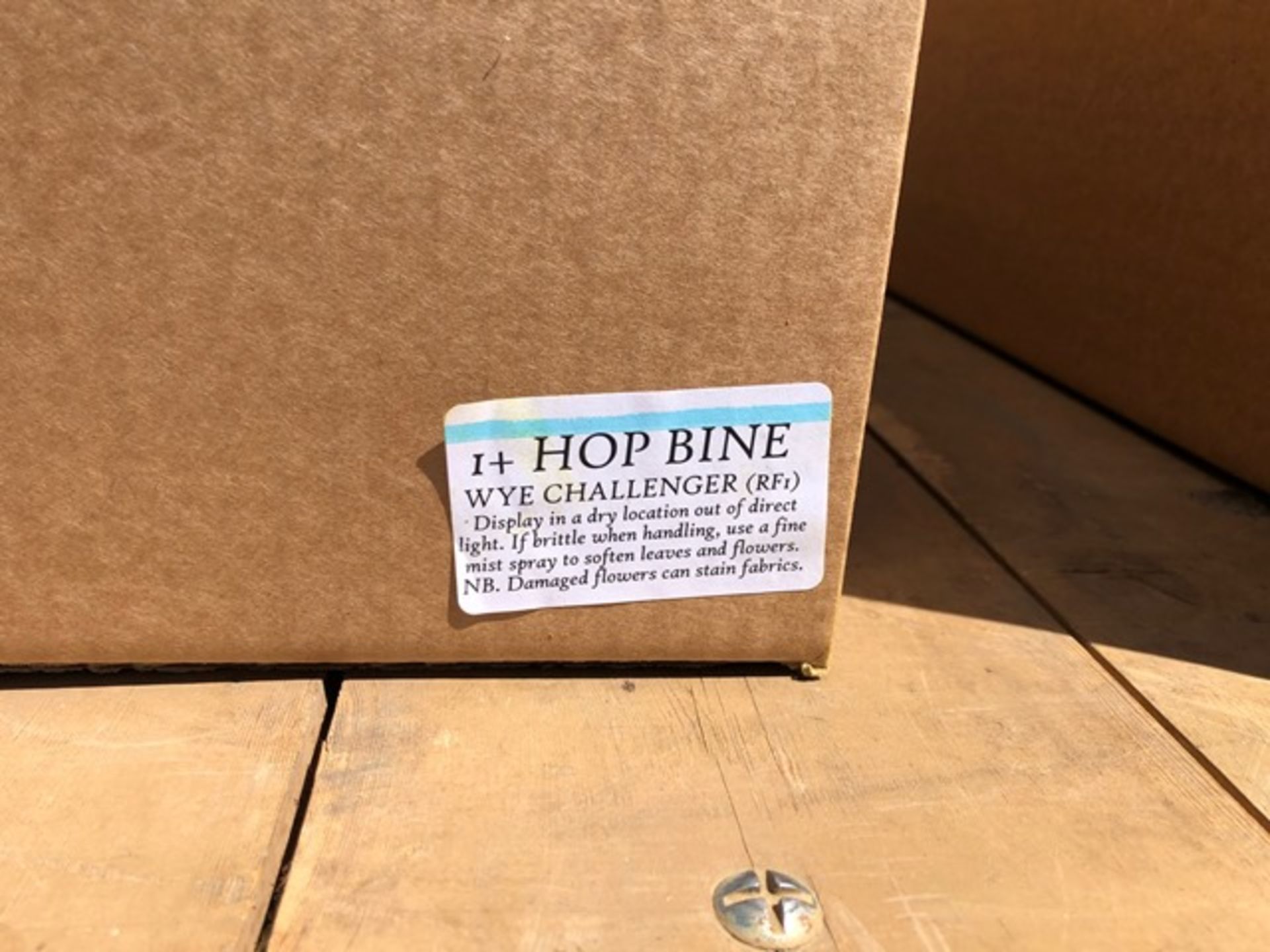 Box of The Hop Shop Dried Hop Bines (Wye Challenger RFI) Unused in original Boxes - Image 2 of 3