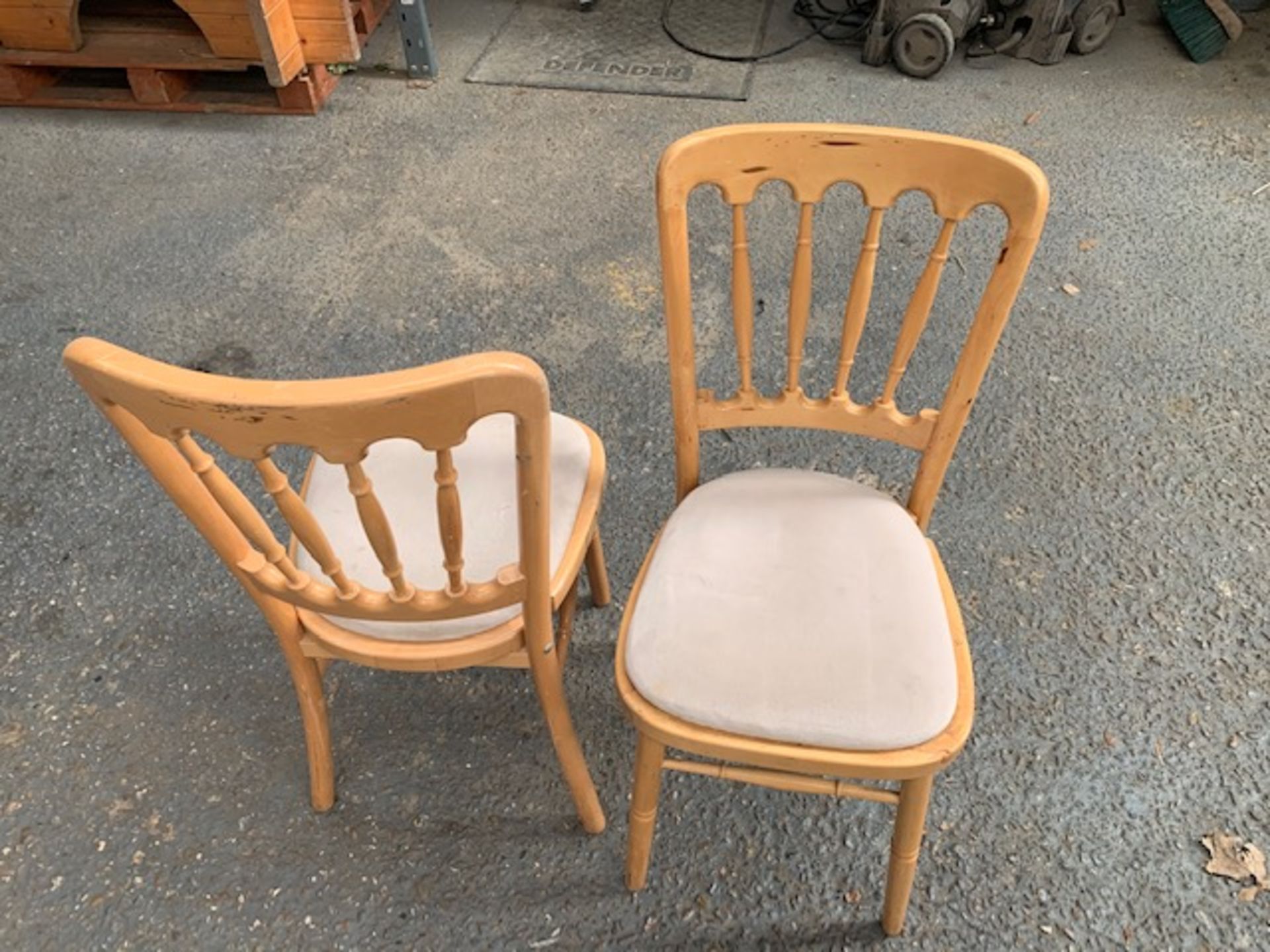 Sixty wooden framed dinning chairs with Velcro fitted cloth cushions