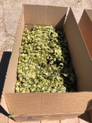 Box of The Hop Shop Dried Hop Bines (Wye Challenger RFI) Unused in original Boxes