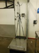 YAOHUA XK3190-A12SS digital platform scale 250kg (770 x 760mm) with stainless steel carcass hook