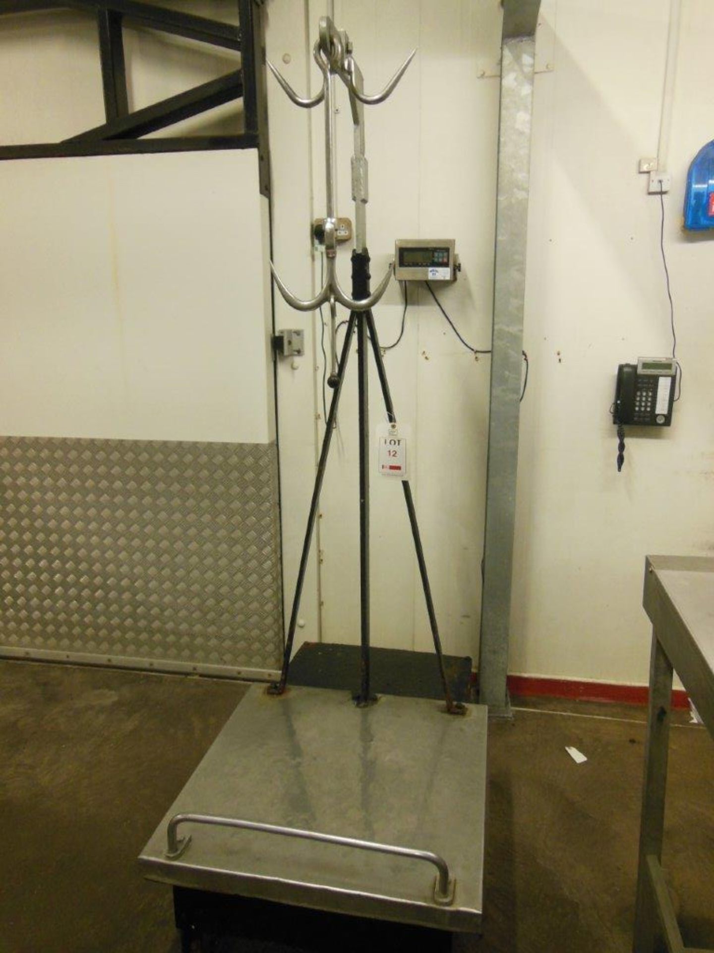 YAOHUA XK3190-A12SS digital platform scale 250kg (770 x 760mm) with stainless steel carcass hook