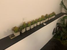 14 small plastic plants in pots