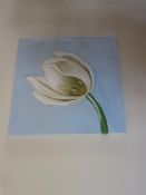 4 x assorted canvas, framed and glazed pictures,Located Greystones,** Located at Shapwick School,