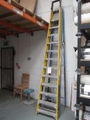 Two assorted step ladders, 1 x 12 rung and 1 x 10 rung