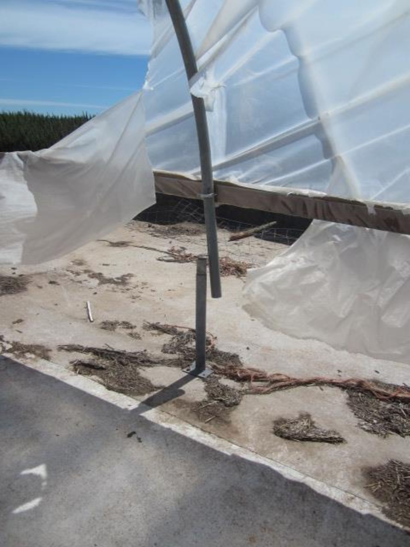 Galvanised poly tunnel frame, approx. 30m x 10m with pulley system feed stations - frame only.**A - Image 3 of 4