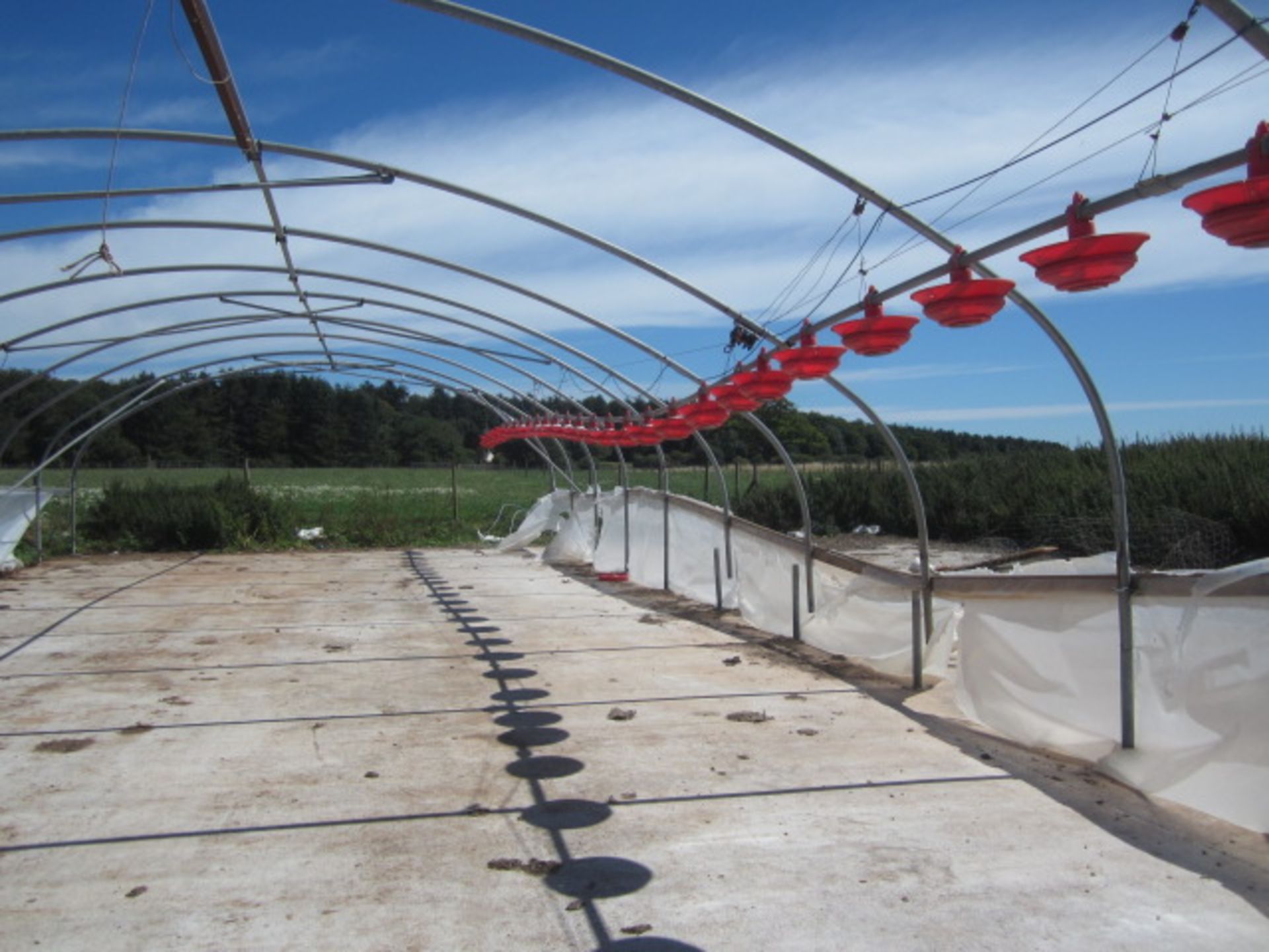 Galvanised poly tunnel frame, approx. 30m x 10m with pulley system feed stations - frame only.**A - Image 4 of 4