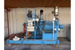 SWEP (WEIR) Skid Mounted Pump