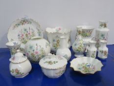 Aynsley 'Wild Tudor' Porcelain