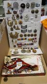 A Collection of Military Badges and Ribbons etc.