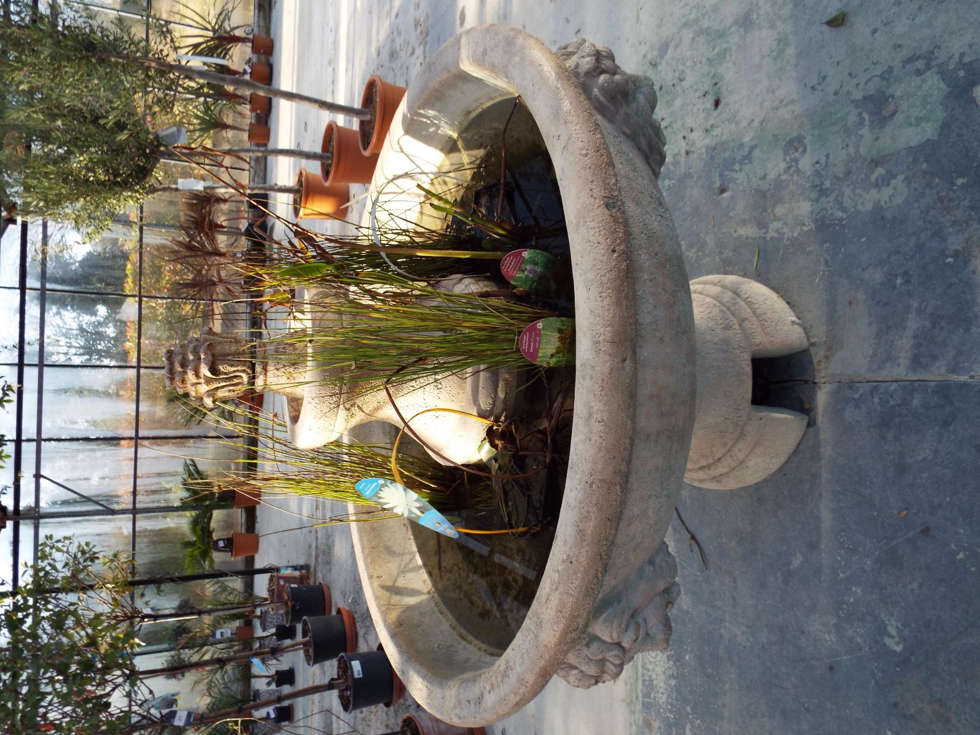 Ornate Cast Concrete Feature Fountain 1300mm Diameter to include all Water Flora - Image 3 of 3