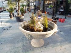 Ornate Cast Concrete Feature Fountain 1300mm Diameter to include all Water Flora