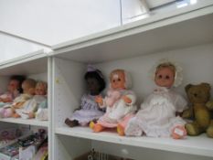 Assorted Doll collection