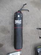 An Everlast Wall Mounted Punch Bag