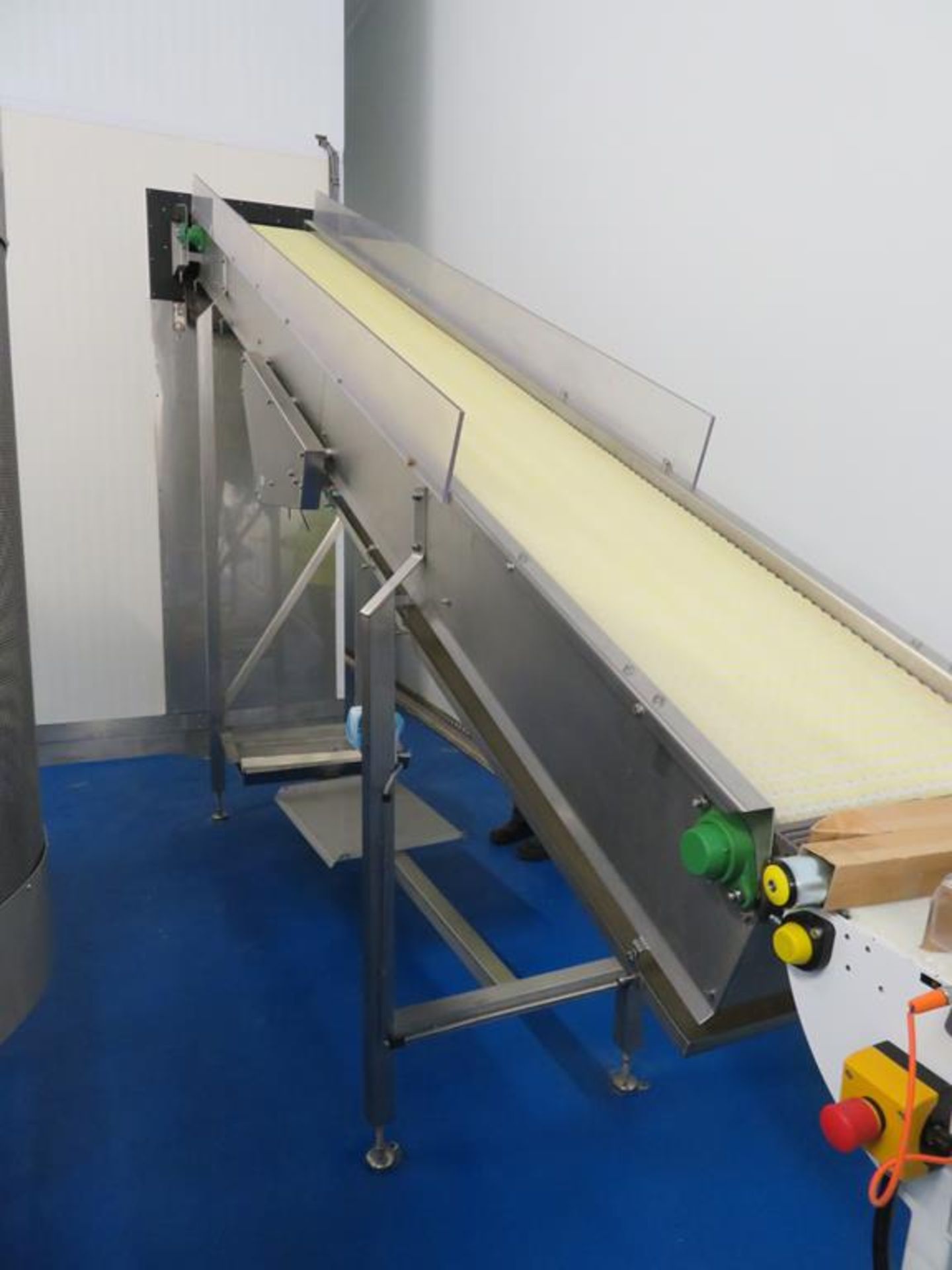 Dodman Powered Acrylic Slat Belt Decline Conveyor.