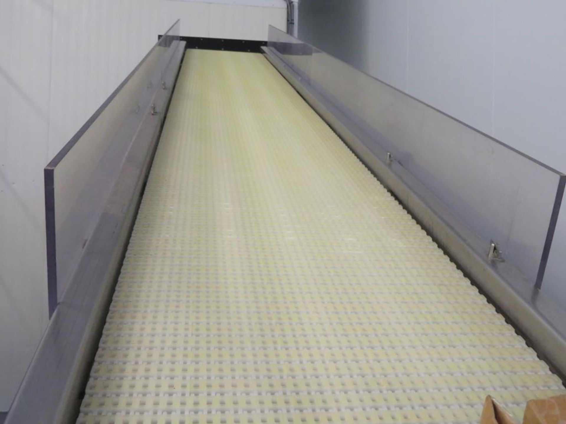 Dodman Powered Acrylic Slat Belt Decline Conveyor. - Image 6 of 6