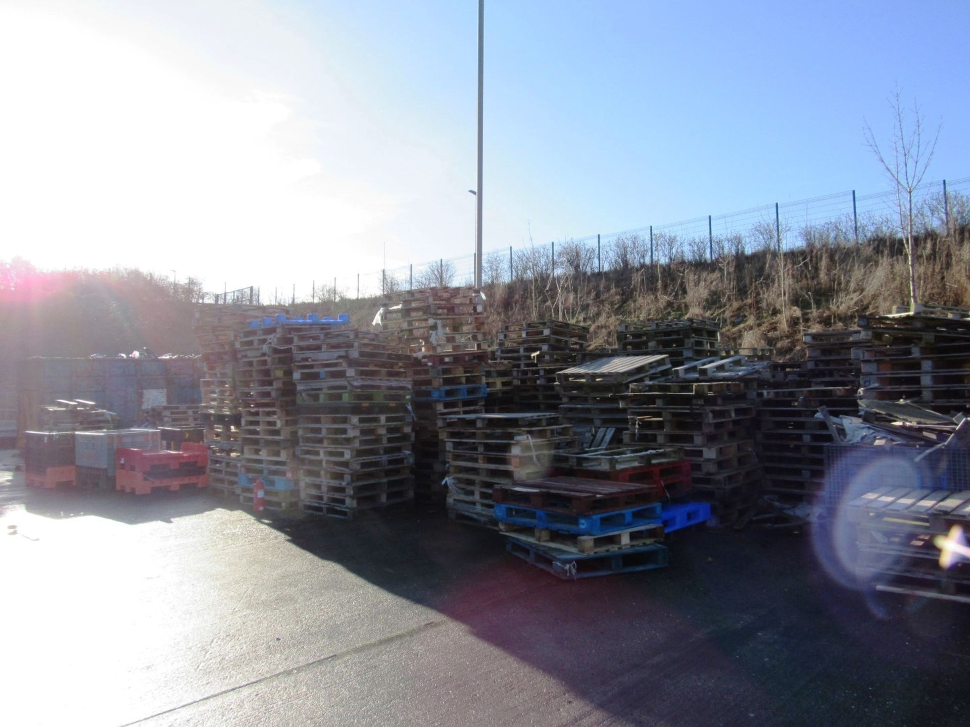 Very Large Quantity Timber Pallets to Yard (This lot does not include any plastic pallets, stillage, - Image 2 of 3