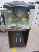 Fish tank on storage cupboard