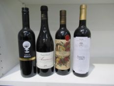 22 x bottles of Red Wine to include 'Big Bombora Shiraz', 'Rioja Baron de Ebro', Amarone Della Val P