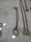 2 Leg Lifting Chain with Open Hooks, 1.2m