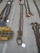 4 Leg Lifting Chain with Shortners, 2.2m