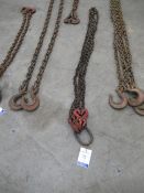 2 Leg Lifting Chain with Shortners and Safety Hooks, 3m