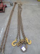 2 Leg Lifting Chain with Shortners, 5.5m