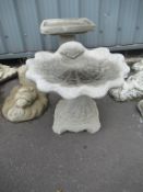 A shell bird bath