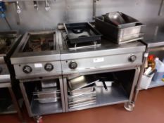 Charvet stainless steel gas fired twin burner twin