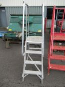 Stainless Steel Ladders