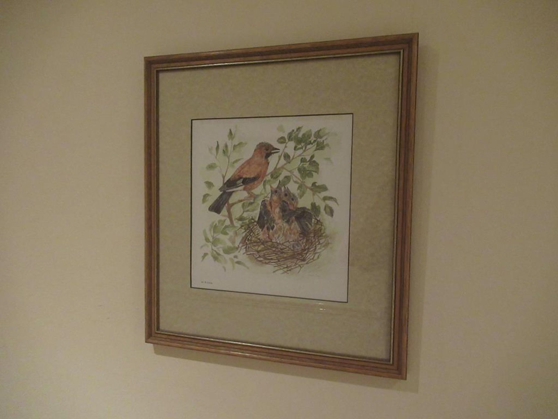 6 framed wild life prints by Avril Fay - Image 4 of 6