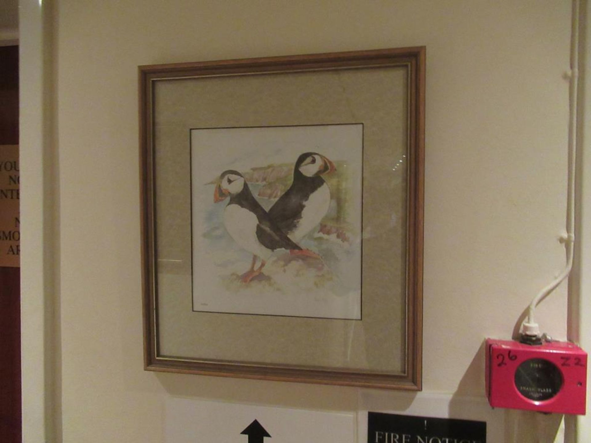 7 framed wild life prints by Avril Fay - Image 7 of 7