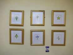 6 various signed miniature floral framed pints