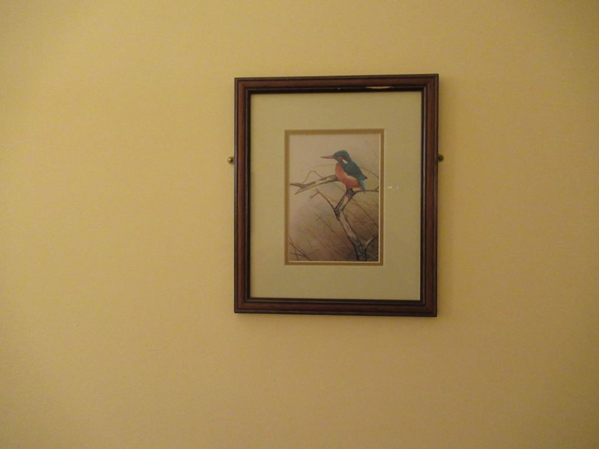 11 framed pictures of birds - Image 4 of 5