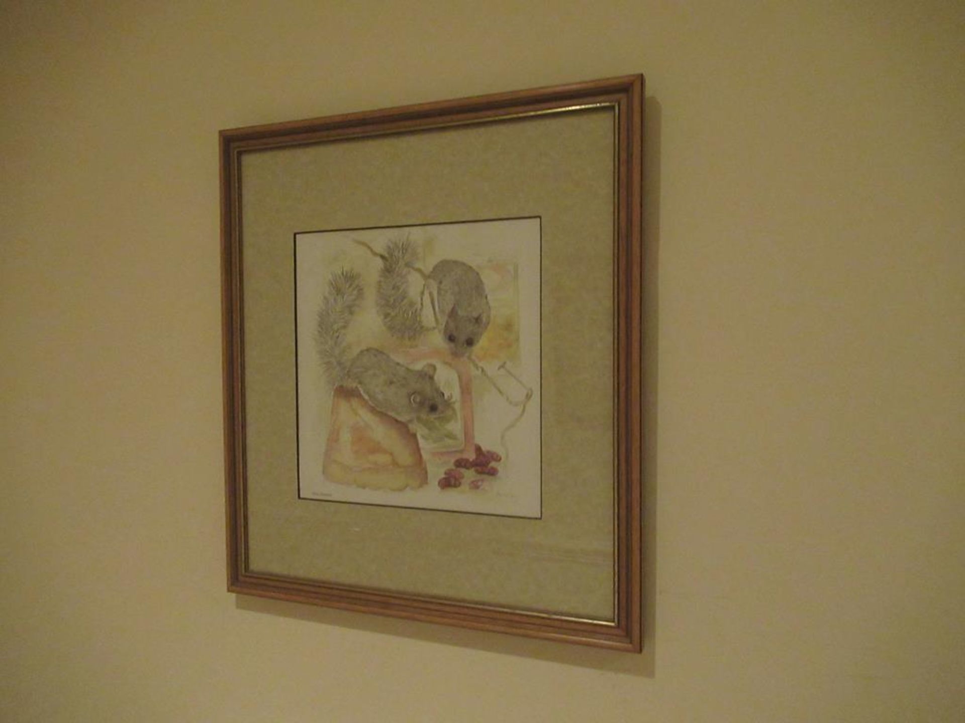 6 framed wild life prints by Avril Fay - Image 6 of 6