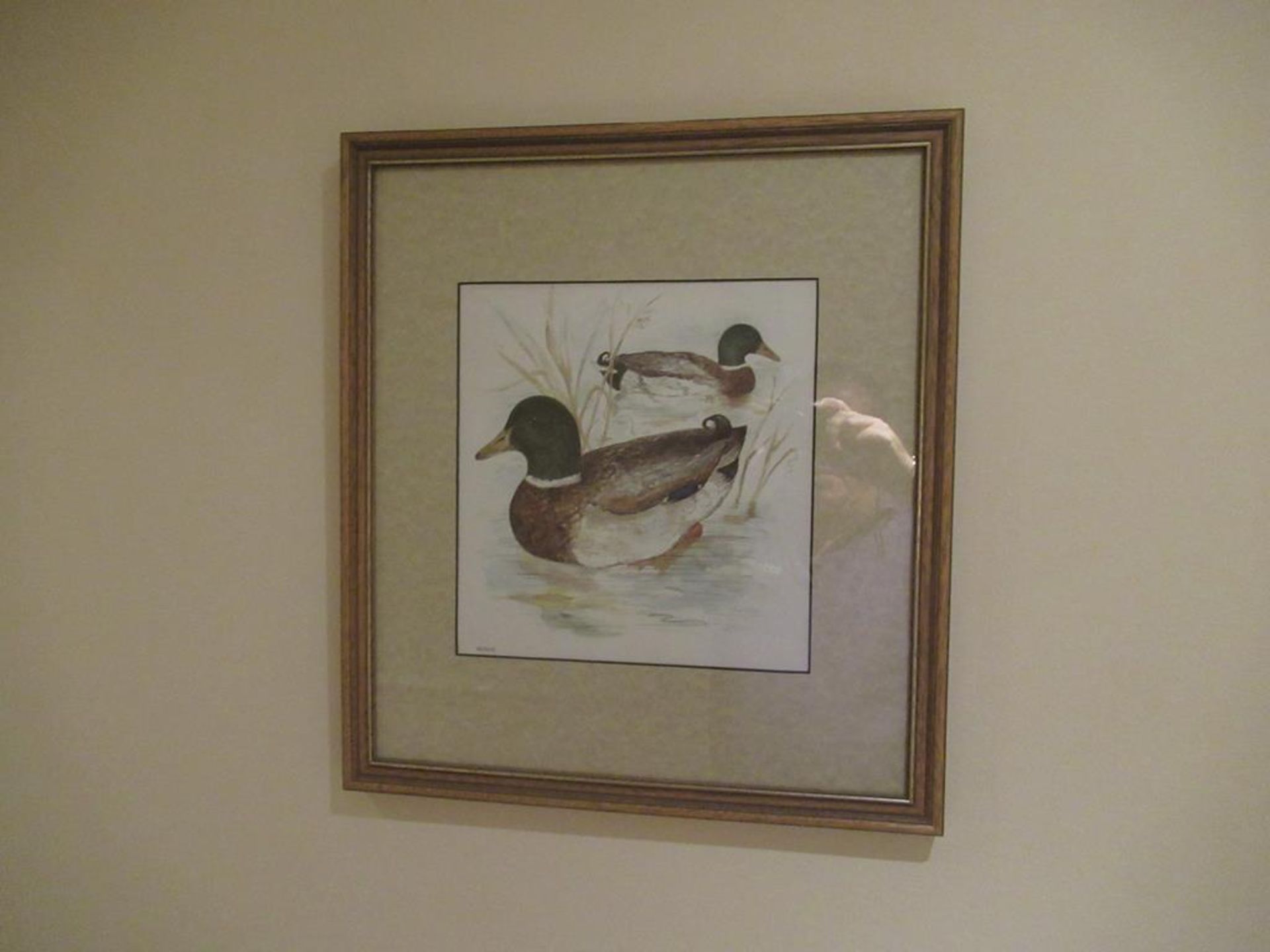 6 framed wild life prints by Avril Fay - Image 3 of 6