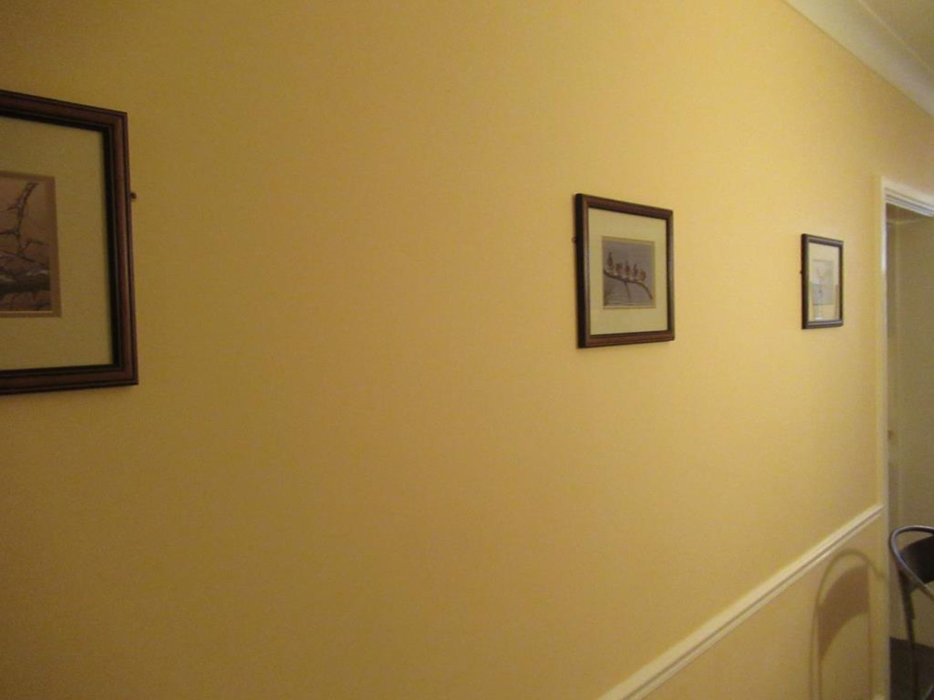 11 framed pictures of birds - Image 2 of 5