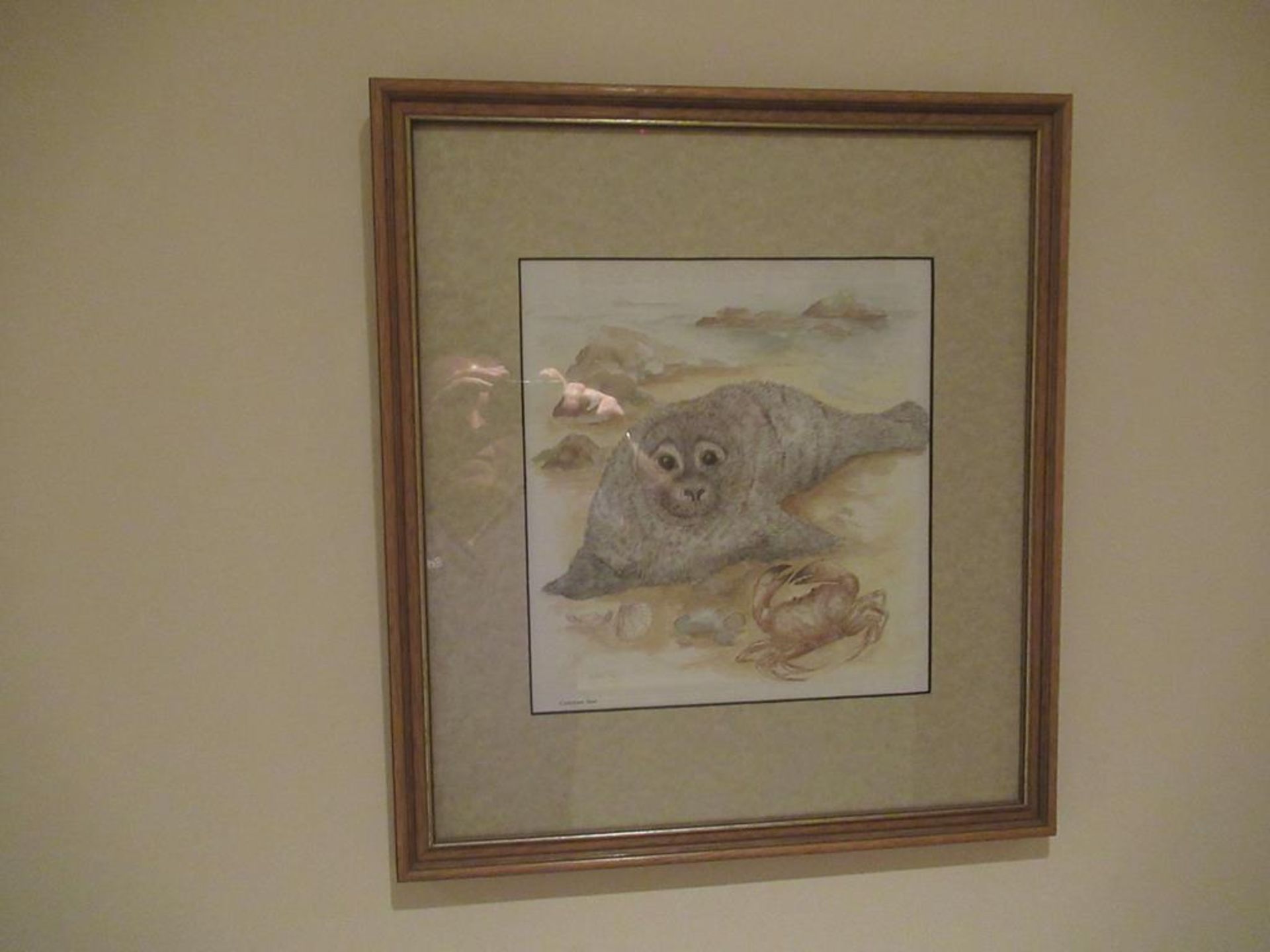 7 framed wild life prints by Avril Fay - Image 4 of 7