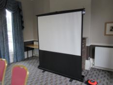 Pull down projector screen