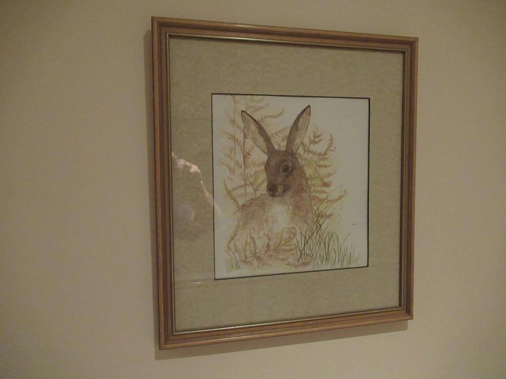 7 framed wild life prints by Avril Fay - Image 5 of 7