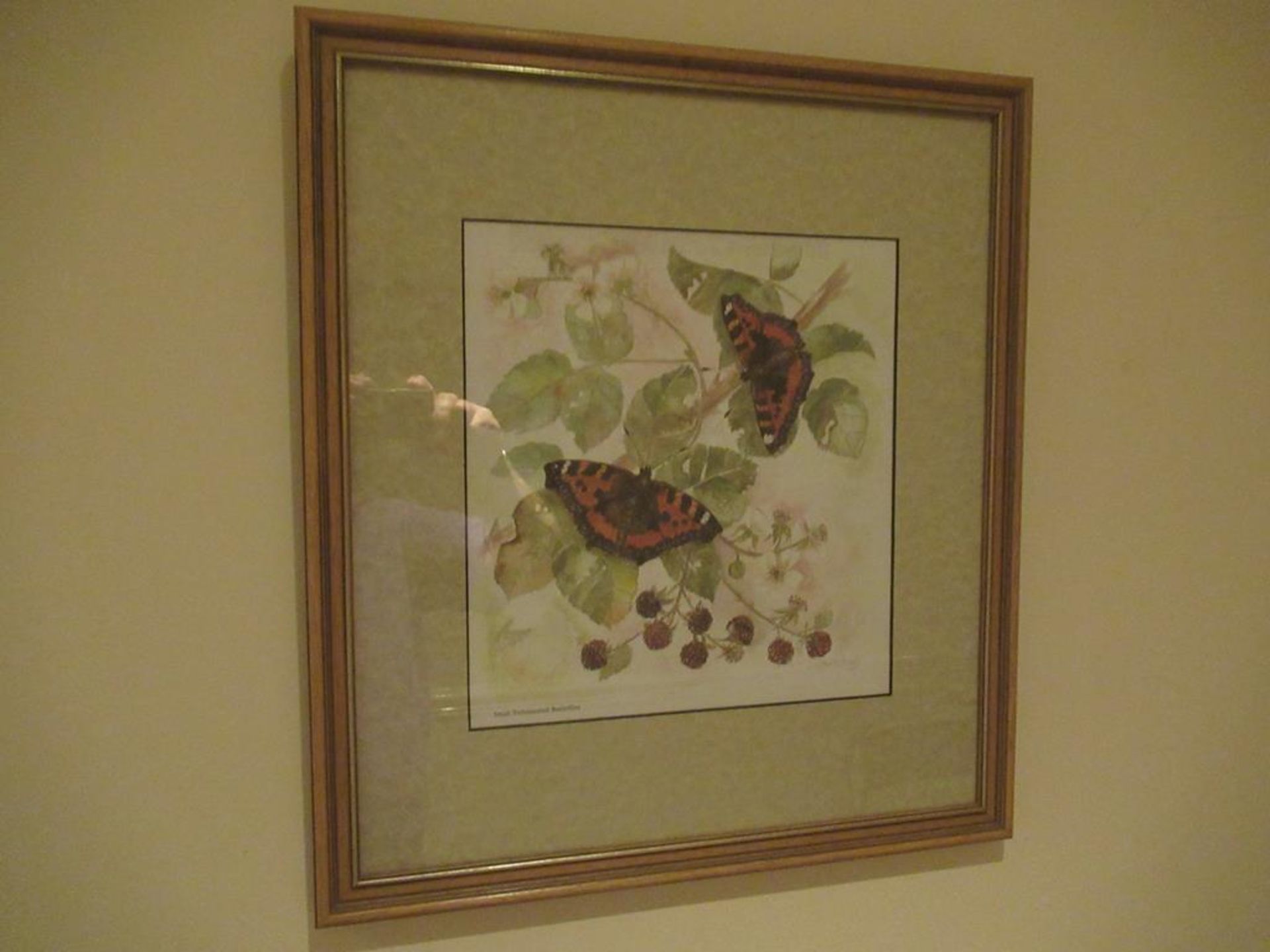 7 framed wild life prints by Avril Fay - Image 6 of 7